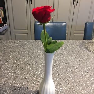 Meet your Posher, Janine